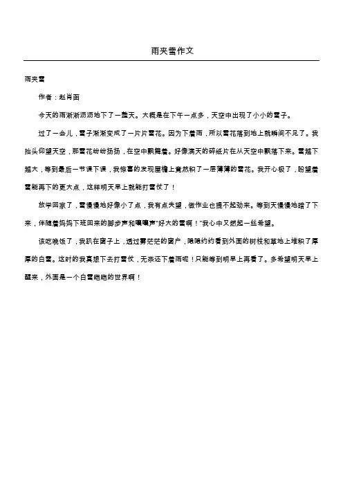 雨夹雪作文