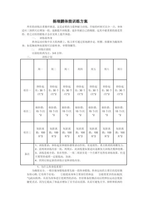 体能训练方案