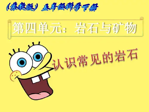 第4单元 岩石与矿物PPT下载4_苏教版五年级科学下册课件