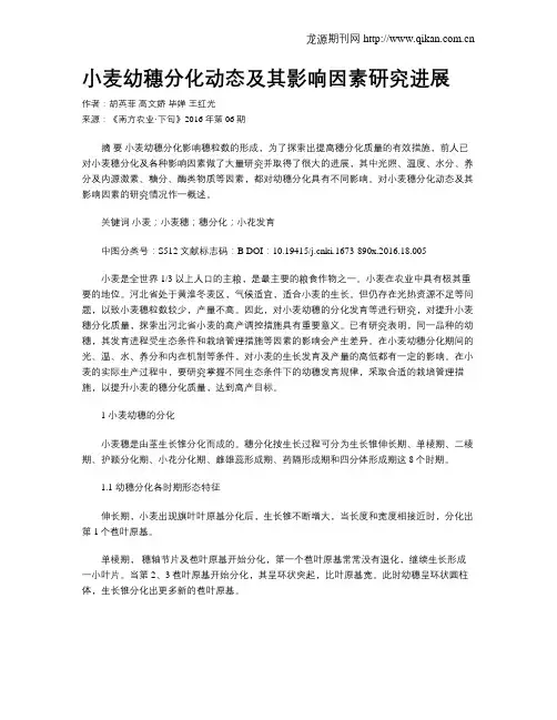 小麦幼穗分化动态及其影响因素研究进展