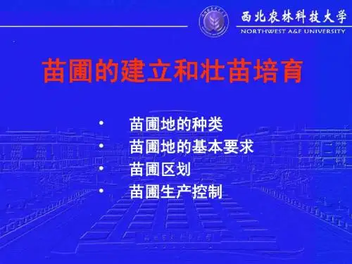 苗圃的建立和壮苗培育