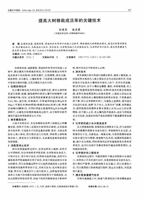 提高大树移栽成活率的关键技术