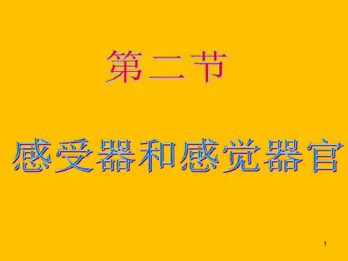 感受器和感觉器官