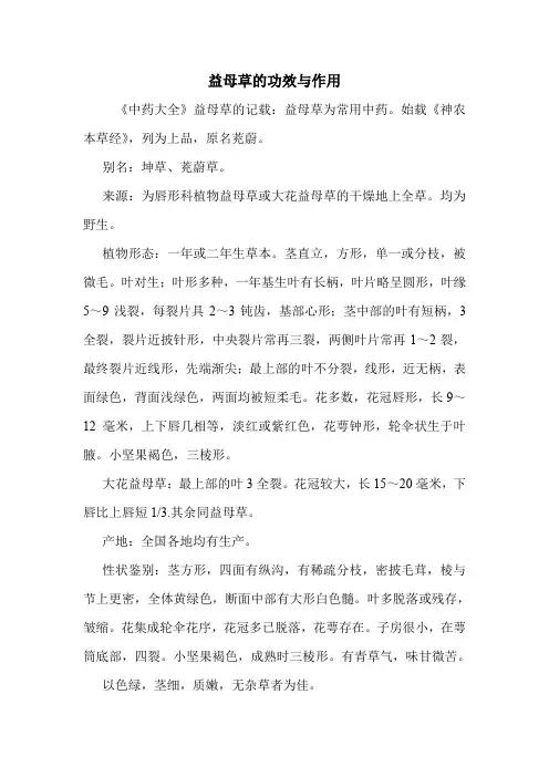 益母草的功效与作用_1