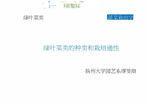 05-1 绿叶菜类蔬菜的种类和栽培通性