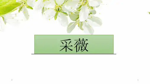 高中语文 人教版必修二高一《采薇》课件(共26张PPT)