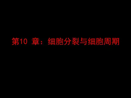 第10章 细胞分裂与细胞周期
