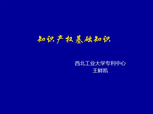 知识产权 4