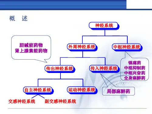 药物化学9-拟胆碱和抗胆碱药物