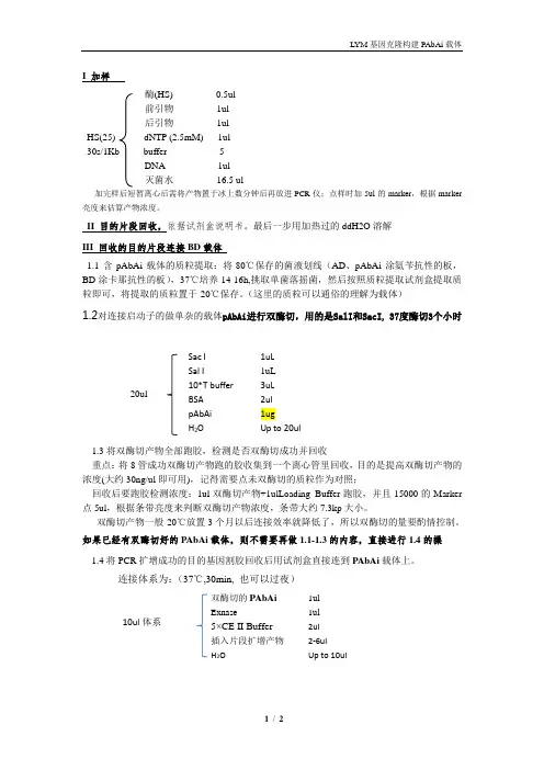 LYM基因克隆构建PAbAi载体