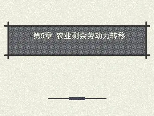 农业剩余劳动力转移