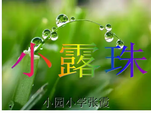 6小露珠冀教版二年级下册