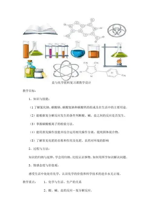 初中化学：盐与化学肥料复习课教学设计