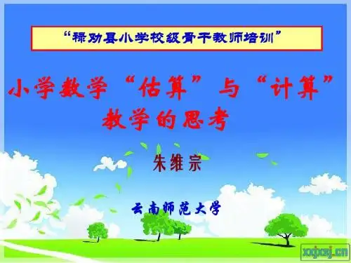 小学数学计算与估算教学的思考(禄劝进校)