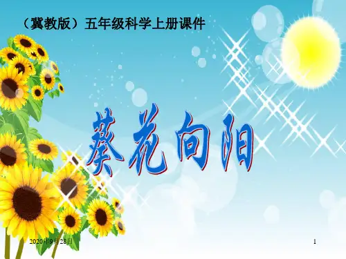 葵花向阳666PPT课件