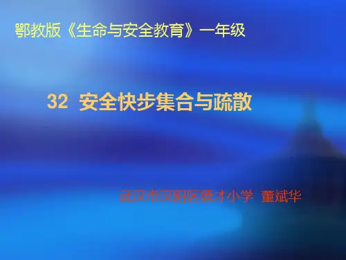鄂教生命与安全教育一级