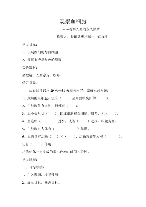 用显微镜观察人血的永久涂片