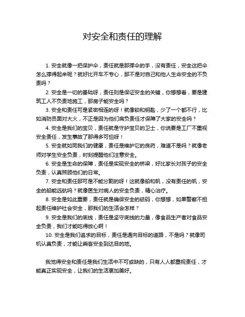 对安全和责任的理解