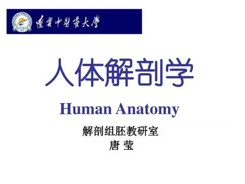 01绪论和骨学躯干骨