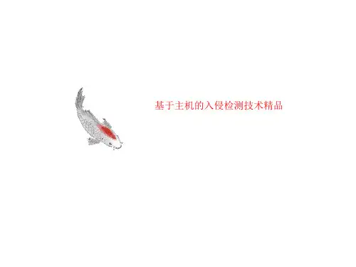 基于主机的入侵检测技术精品