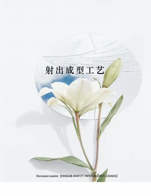 射出成型工艺