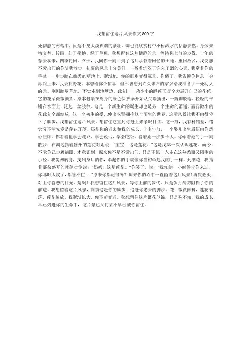 我想留住这片风景作文800字(最新版)