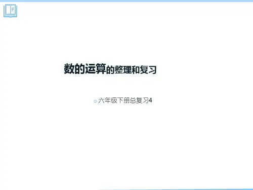 小学数学六年级下册数的运算(一)