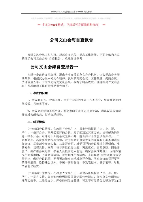 2018-公司文山会海自查报告-word范文模板 (5页)