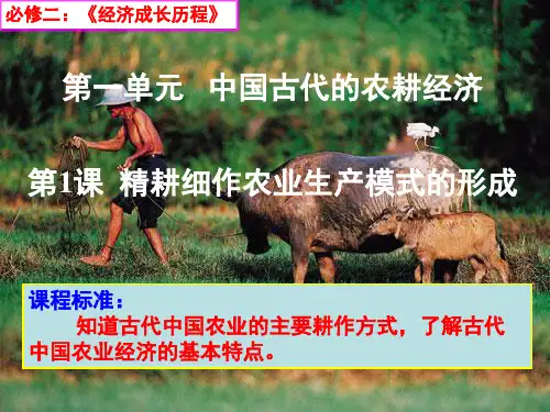 岳麓版高中历史 必修2第1课 精耕细作农业生产模式的形成