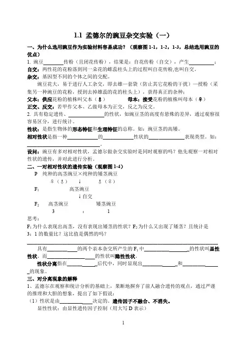 孟德尔的豌豆杂交实验一导学案