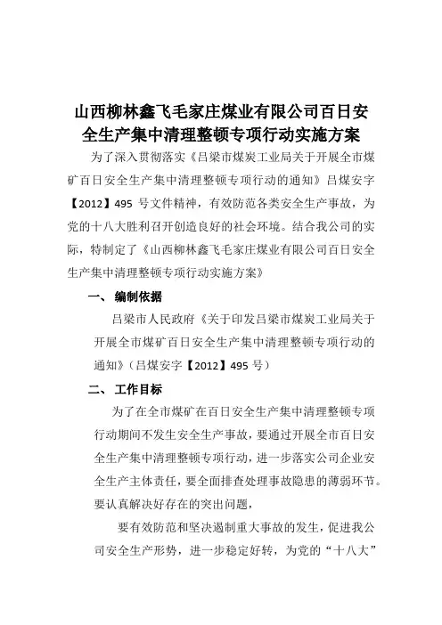 山西柳林鑫飞毛家庄煤业有限公司百日安全生产集中清理整顿专项行动实施方案1