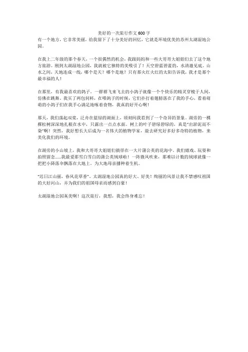 美好的一次旅行精选优秀作文600字