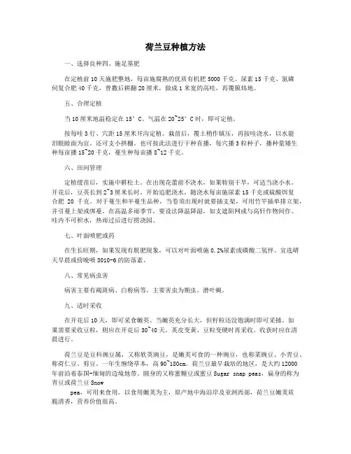荷兰豆种植方法