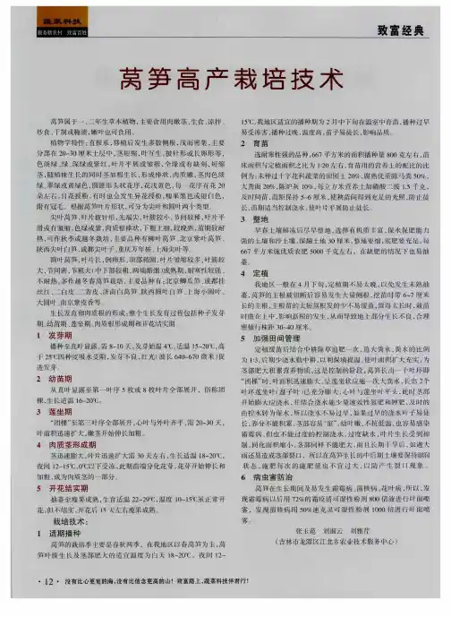 莴笋高产栽培技术