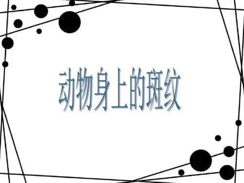 动物身上的斑纹