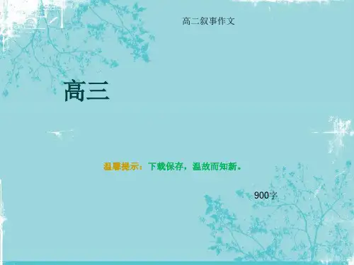 高二叙事作文《高三》900字