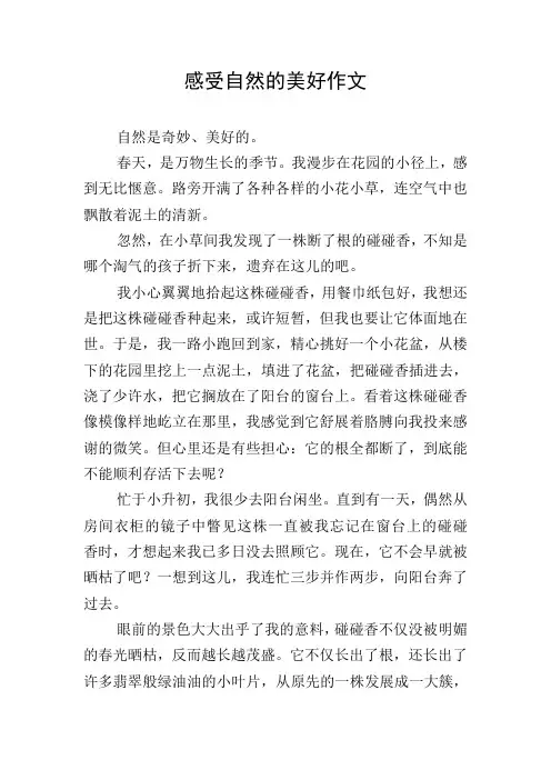 感受自然的美好作文