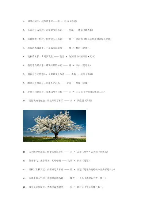 飞花令—木