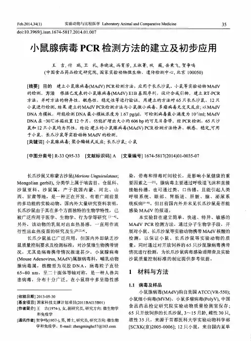 小鼠腺病毒PCR检测方法的建立及初步应用