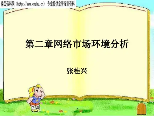 网络营销市场环境分析