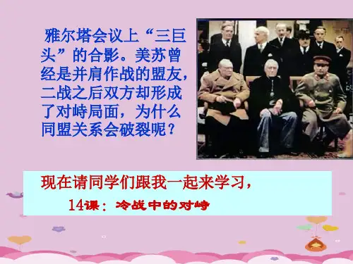 冷战中的对峙ppt20 人教版优秀课件