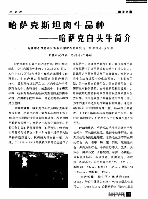 哈萨克斯坦肉牛品种——哈萨克白头牛简介