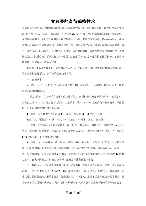 文冠果的育苗栽植技术