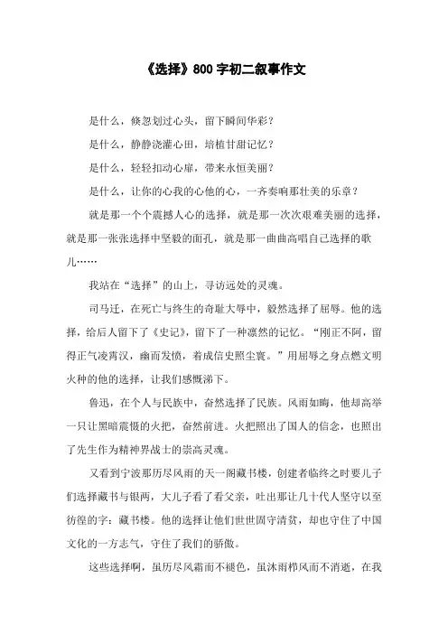 《选择》800字初二叙事作文