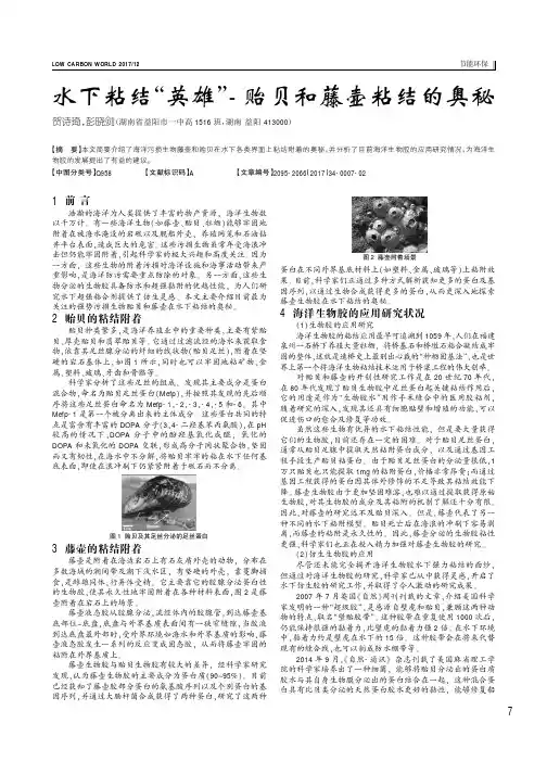 水下粘结“英雄”-贻贝和藤壶粘结的奥秘
