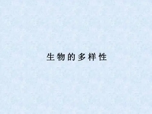 《相貌各异的我们》课件