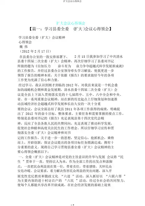 扩大会议心得体会