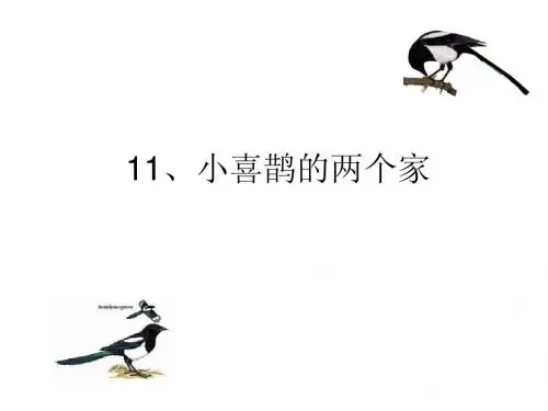 11、小喜鹊的两个家(1)
