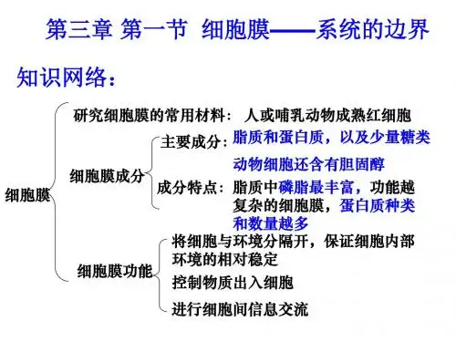 高中一年级生物必修一第三章复习课件