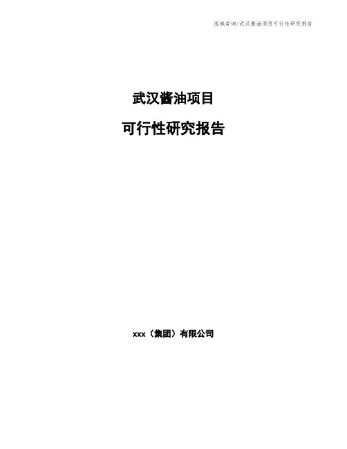 武汉酱油项目可行性研究报告